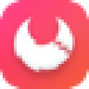 Apifox